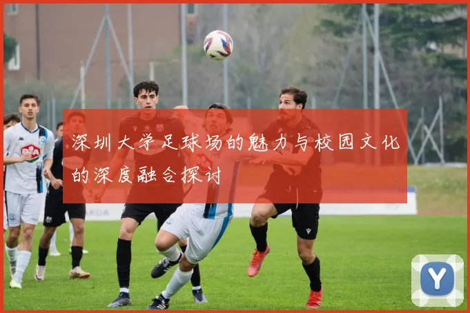 深圳大学足球场的魅力与校园文化的深度融合探讨