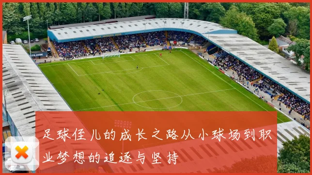 足球侄儿的成长之路从小球场到职业梦想的追逐与坚持