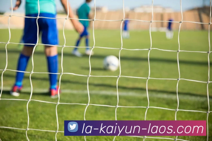 开云官网平台生态图