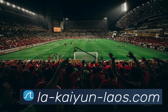 开云官网APP 封面图